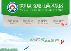 技术团队具备成熟微网站开发经验...