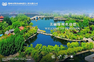 滕州市荆善园林建设工程有限公司