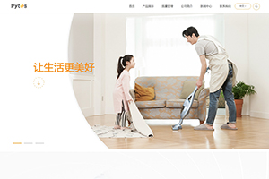 山东派智新能源科技有限公司