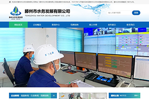 滕州市水务发展有限公司