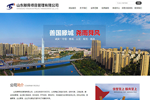 山东滕舜项目管理有限公司